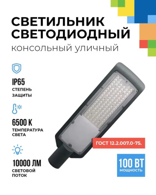 FL-LED Street  100W  Grey  6500K   460*145*27мм  10000Лм  110-240В (светильник консольный LED, d 50))